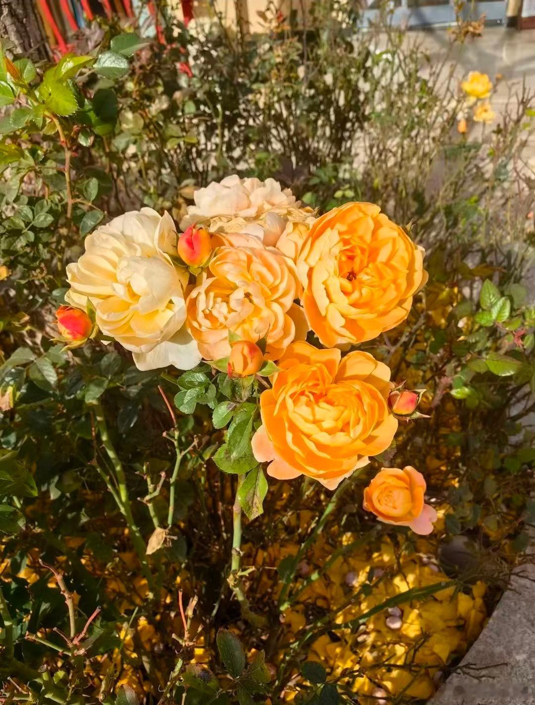 人生如戏，戏如人生。好的坏的，好像在哪发生过，所有的一切似曾相识。万物波动，字宙