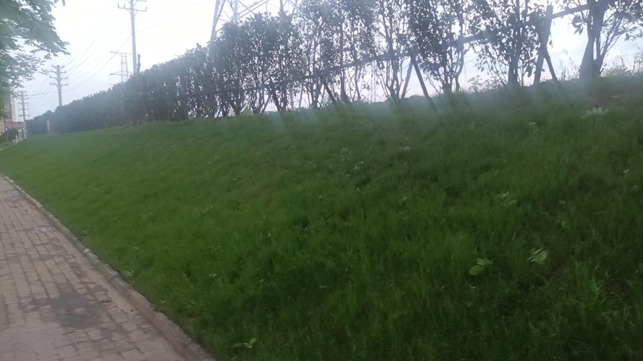 人生路上，难免会遇到失意、委屈和低谷，没有人能永远一帆风顺。真正成熟的底气，不是