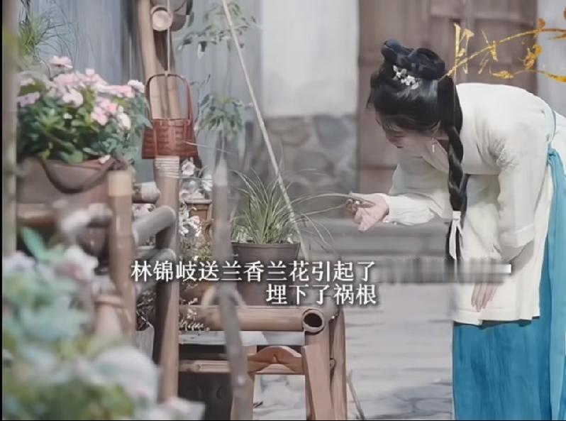 《兰香如故》兰香被郑蔓宜拿剑指着，被韩梁用三弦砸伤，林锦岐送的兰花，埋下了祸根，