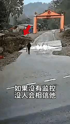 大猫: 真险，今天差点就交待在这里了动图动物
