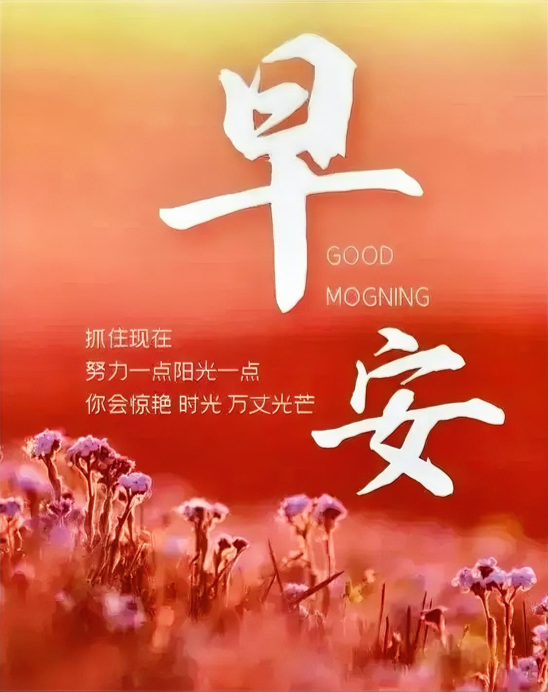 晨光吻花，努力一点阳光一点，你终将惊艳时光，万丈光芒！