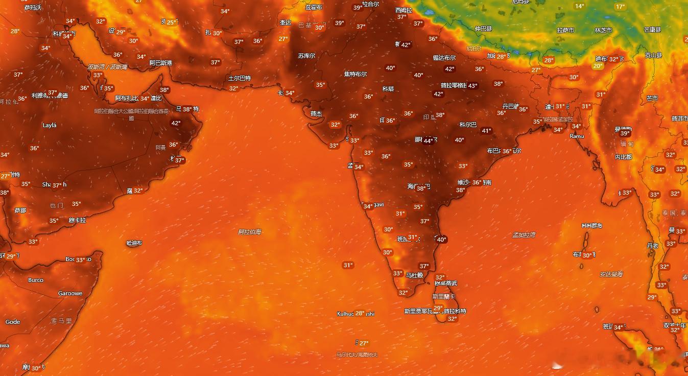 印度这气温，最凉快的地方也到30℃了 印度高温