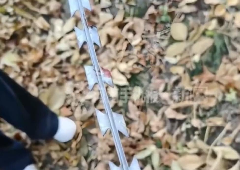 新疆沙湾市一小区，物业为了防止业主停车时压坏草坪，居然在树上装了一排带有倒刺的防