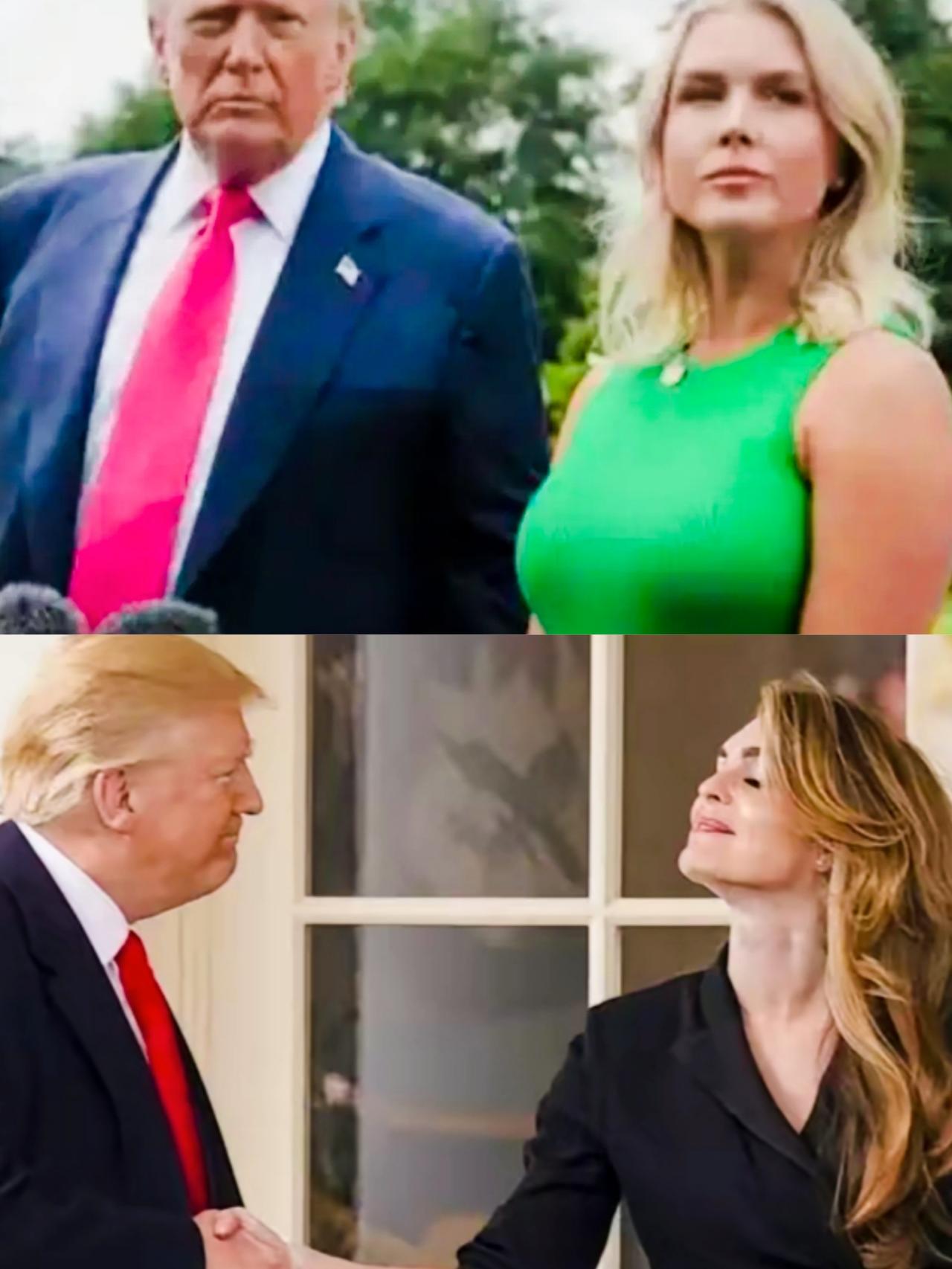 特朗普手下两位新闻秘书卡罗琳和希克斯，不知特朗普更认可哪位的工作能力啊？
希克斯