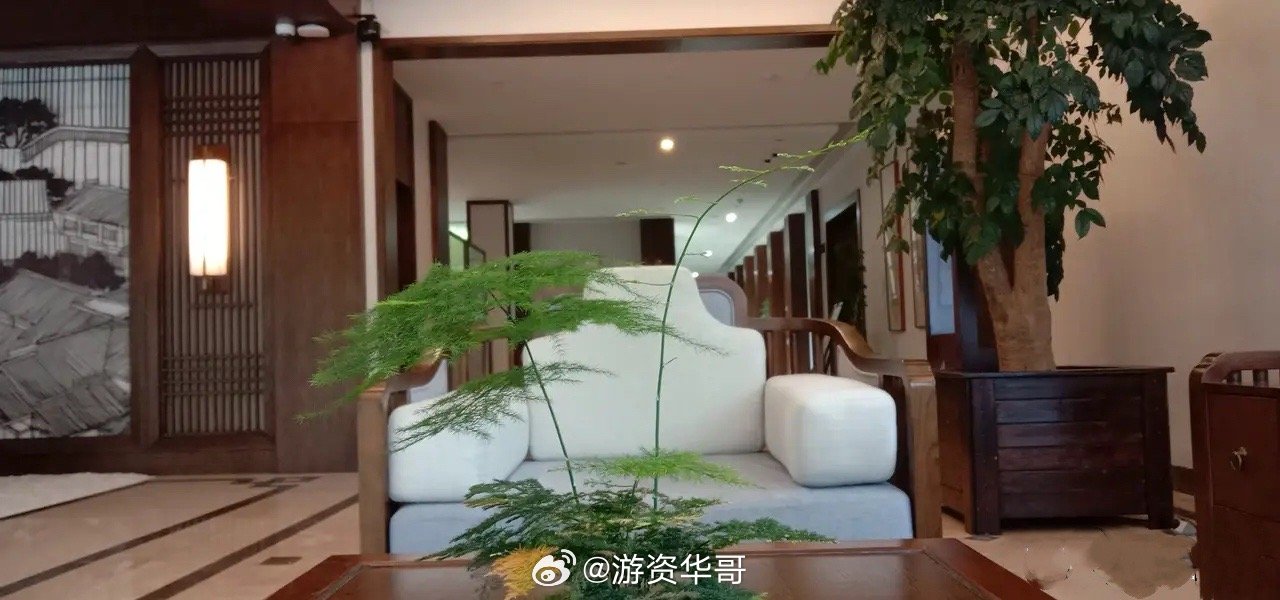 股民要找个可以发呆的地方        我住的后山就是景区，每天收盘以后，我都会