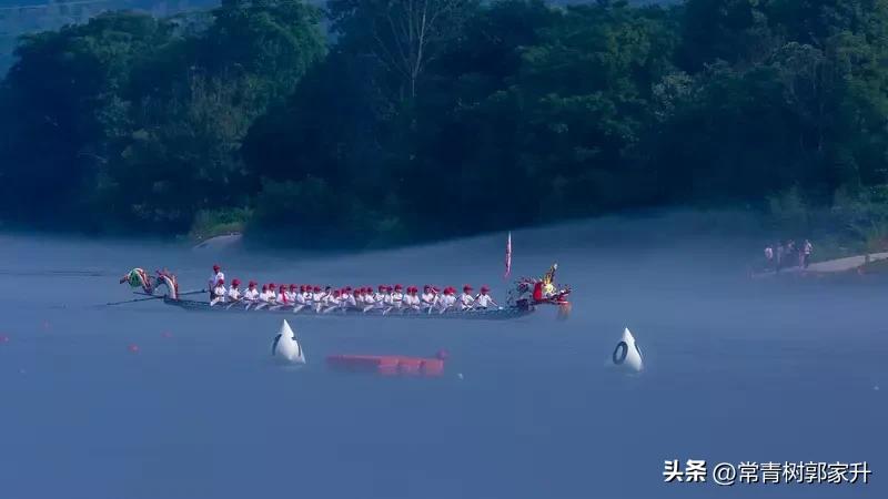 七律·端午怀思
 
榴花照眼又端阳，蒲艾盈门韵自长。
角黍飘香思屈子，龙舟竞渡闹