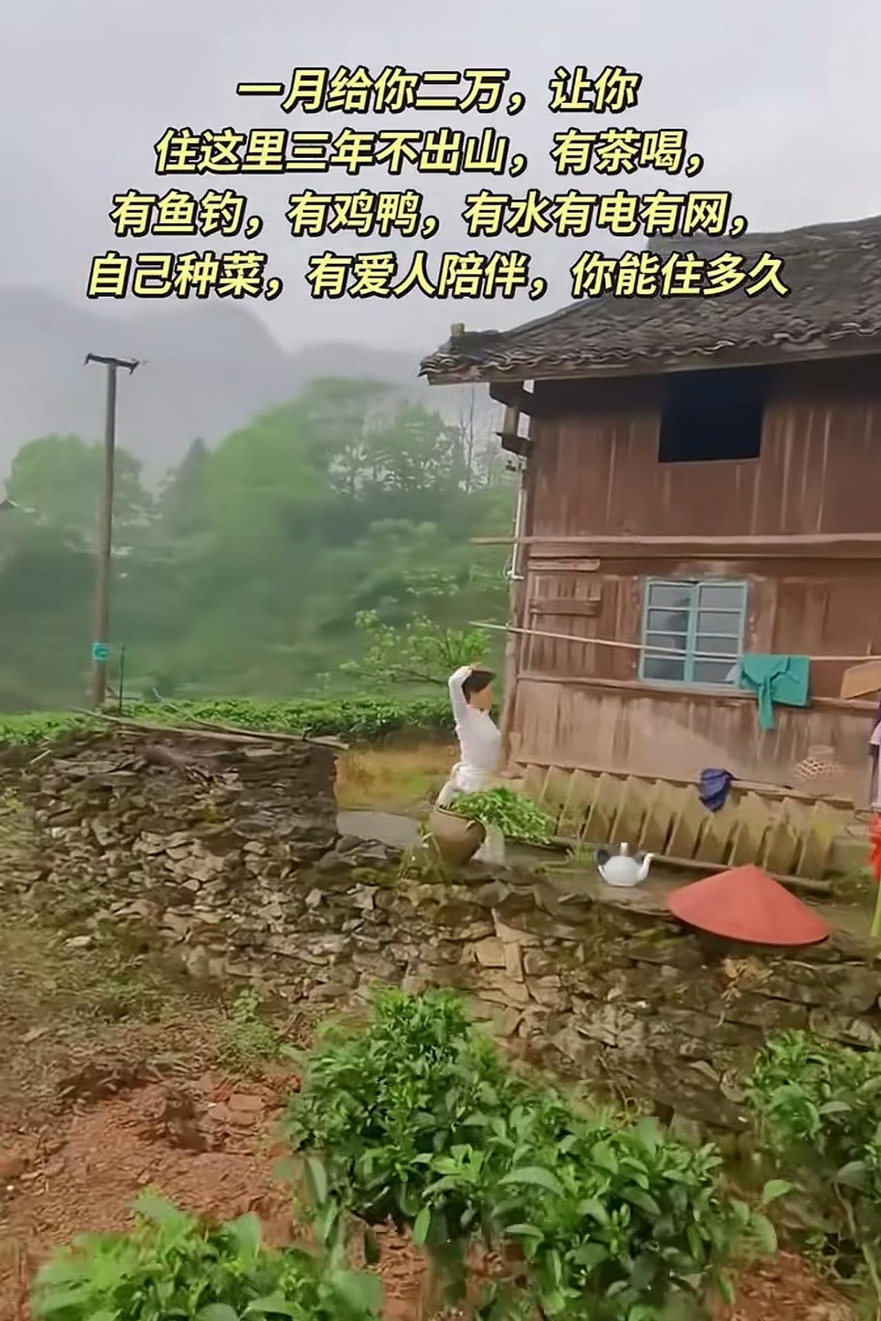 一屋，两人，三餐，四季
直到永远