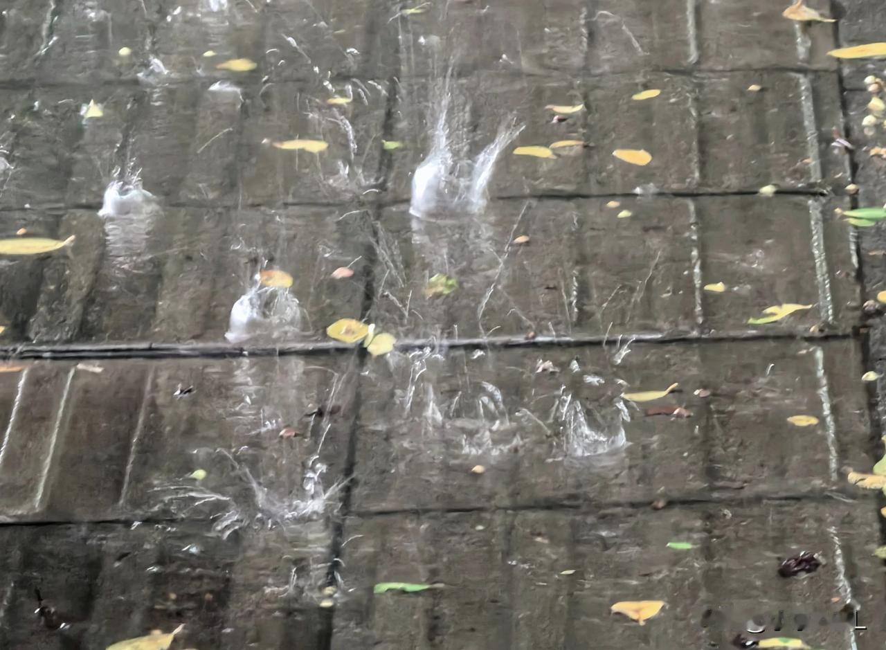 在雨中漫步
晒图笔记大赛
中元节的早上，雨一直下。
​预告说，两个小时后雨逐渐变
