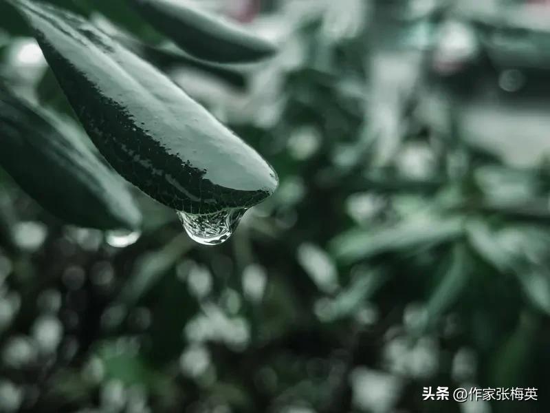 高二女生休学"爱上"AI，40岁创业者把豆包当树洞：我们到底在逃避什么？

【现