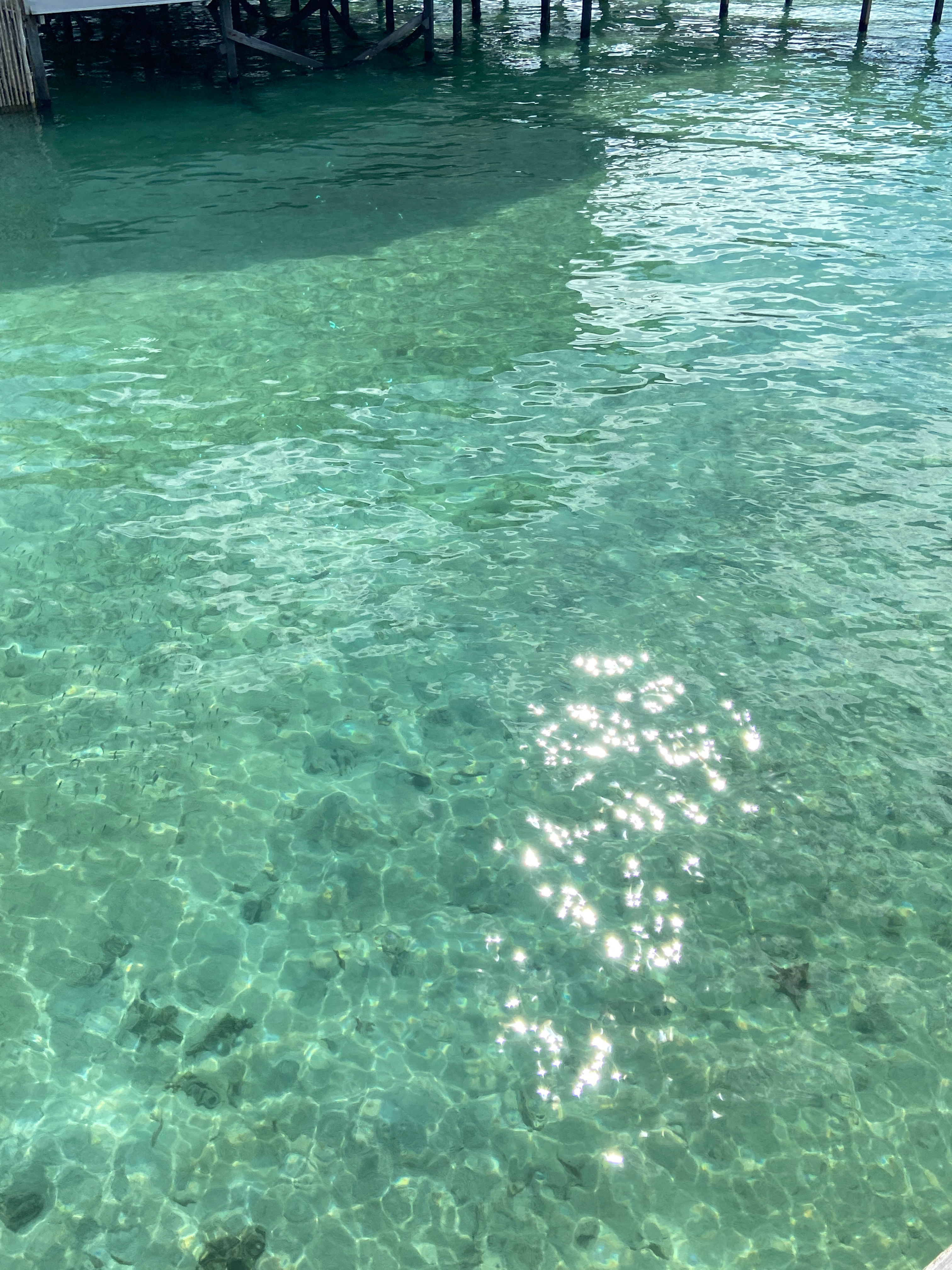 治愈系风景，纯粹的绿  ​​​