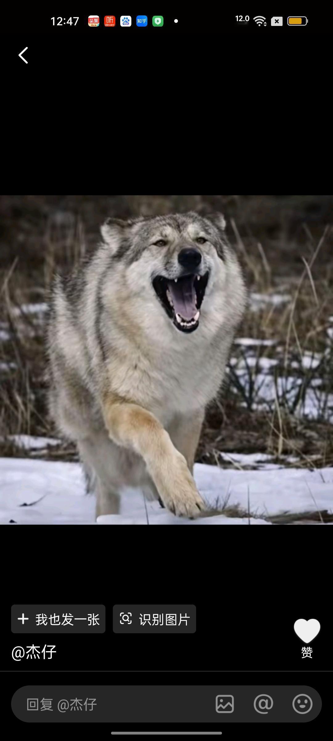 我最喜爱这张格林笑眯着眼奔向妈妈的图片，那模样恰似孩子见到久别重逢的妈妈时，满是