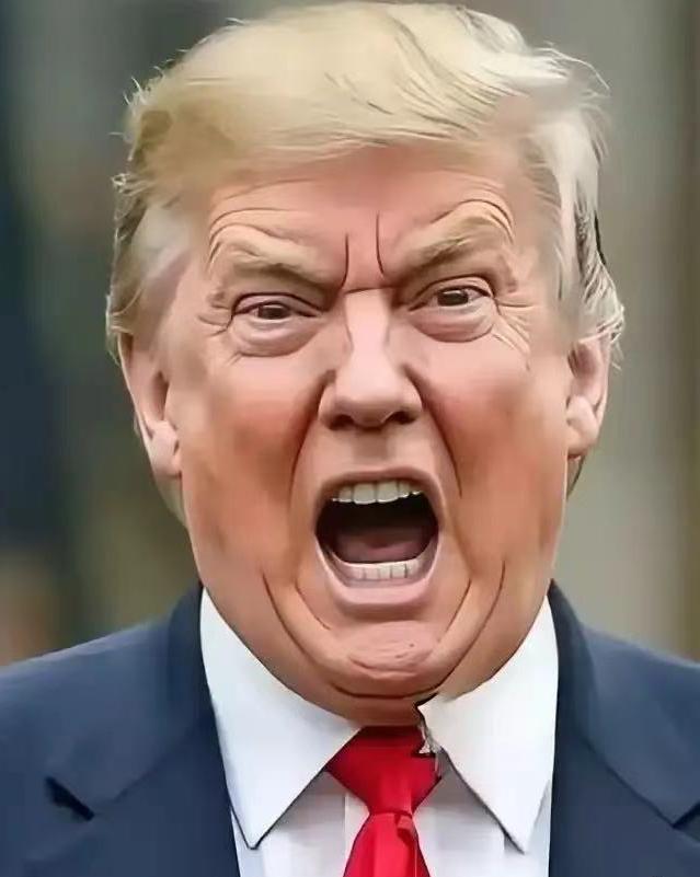 美国总统突然宣布：
1 月 26 日报道，美国特朗普政府宣布将向美国稀土公司注资