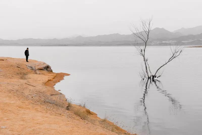 每个人的生活经历恰似指纹般独一无二，这使得我们对事物的看法大相径庭。以读《百年孤
