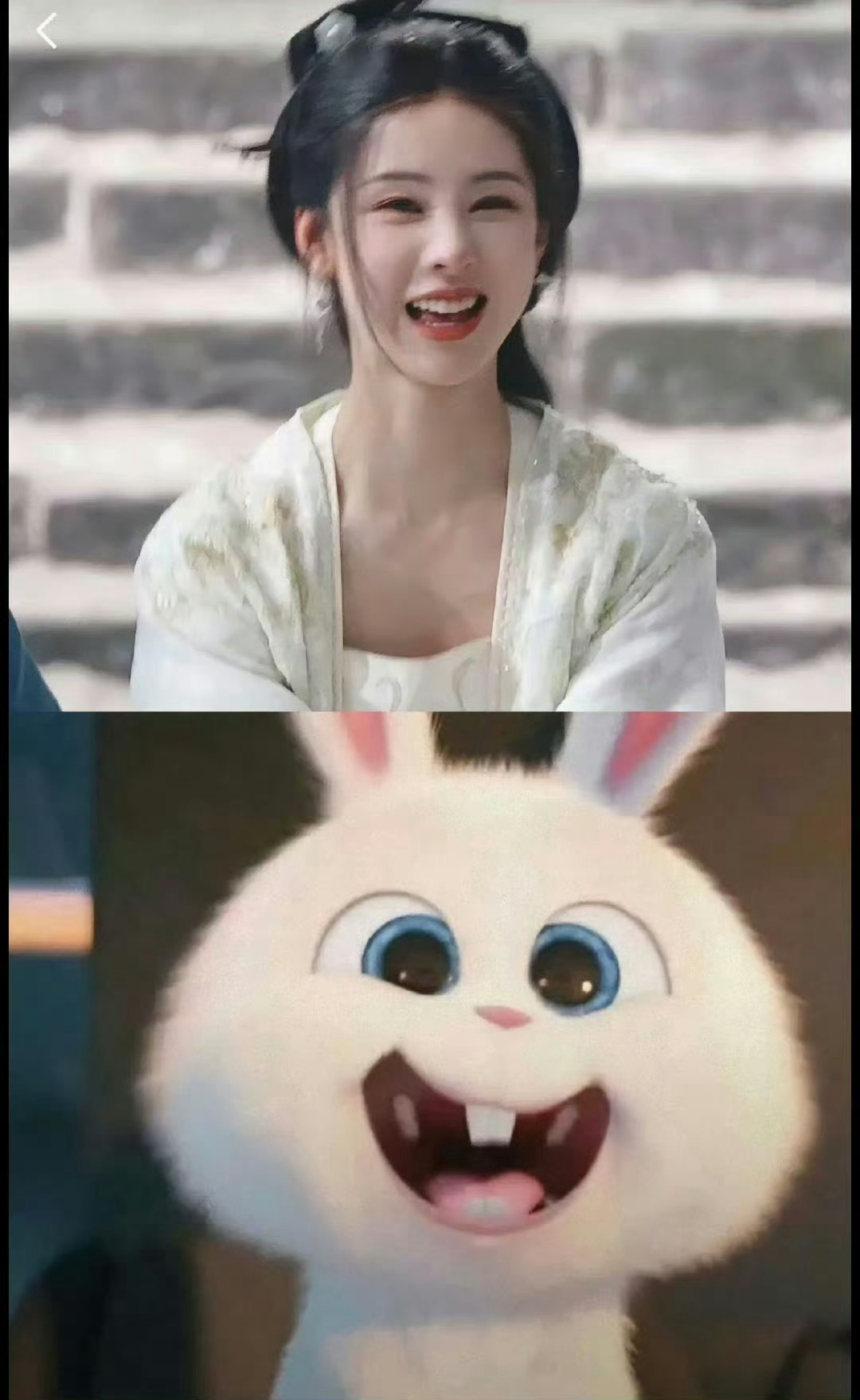 陈都灵真的好像一只小兔子 ​​​