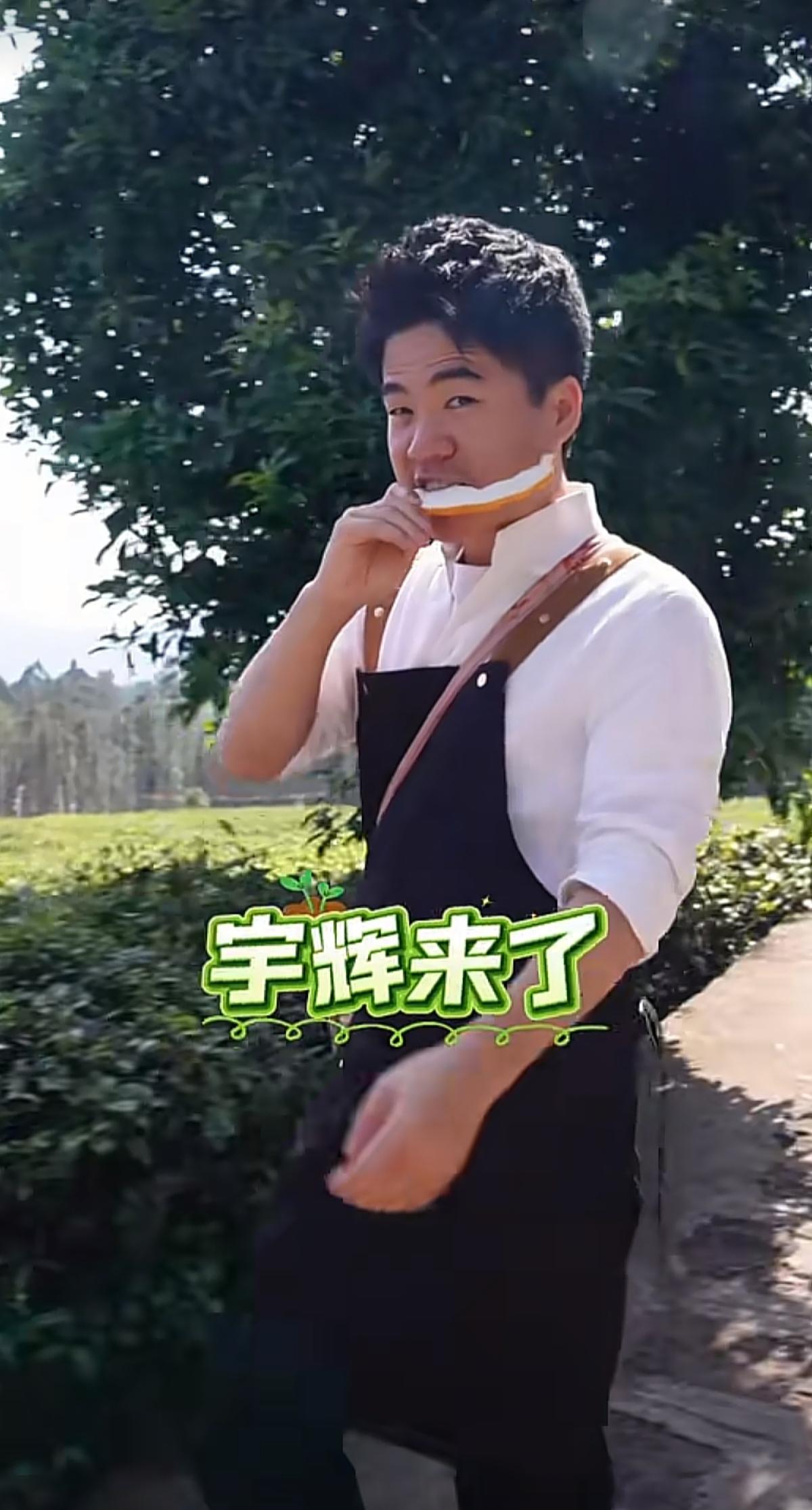 “与辉同行阅山河云南行”
走茶山步道，赏茶垄风光，清水庄园我们来啦！