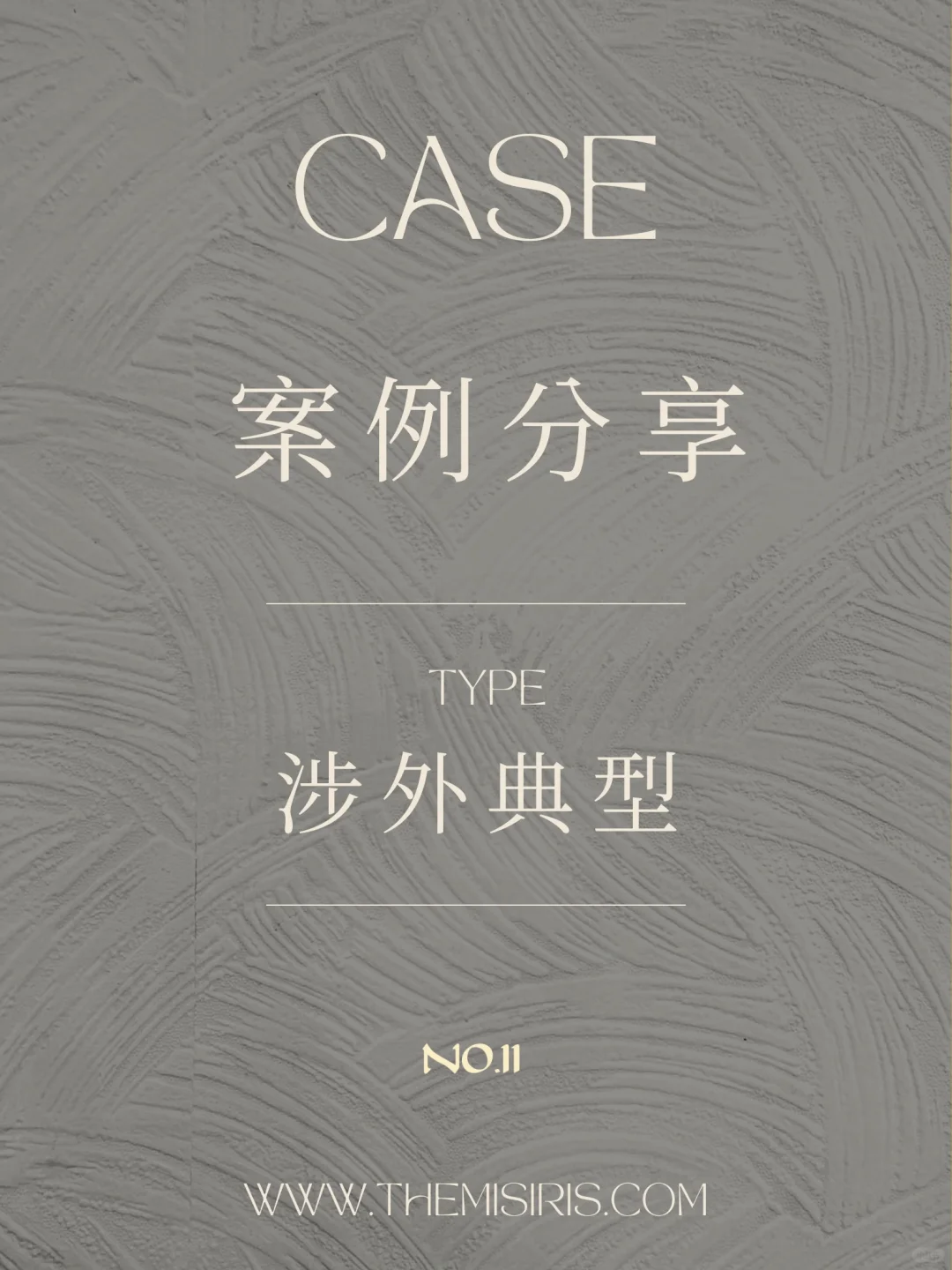 涉外典型案例分享