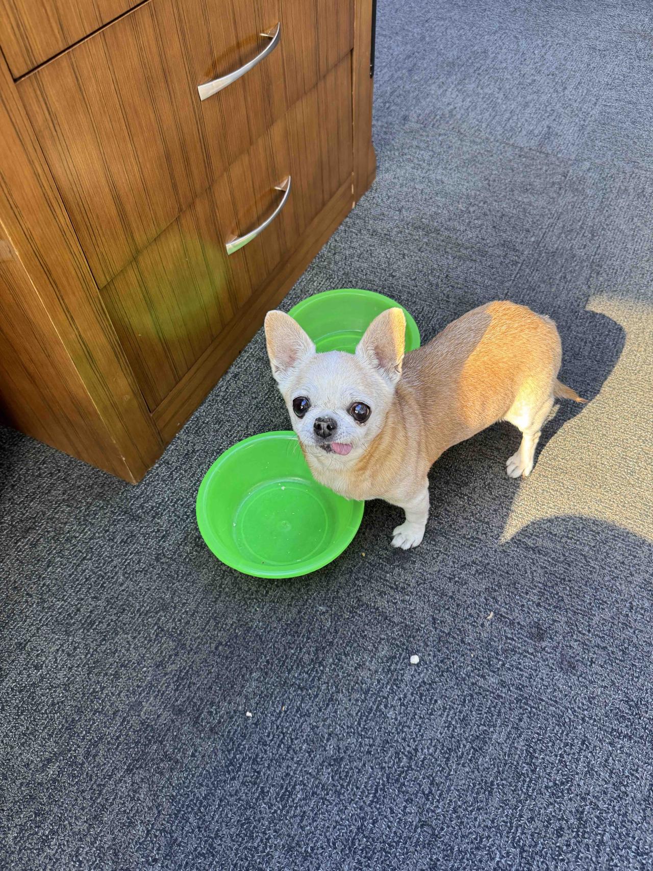 为什么总显得饥饿呢？