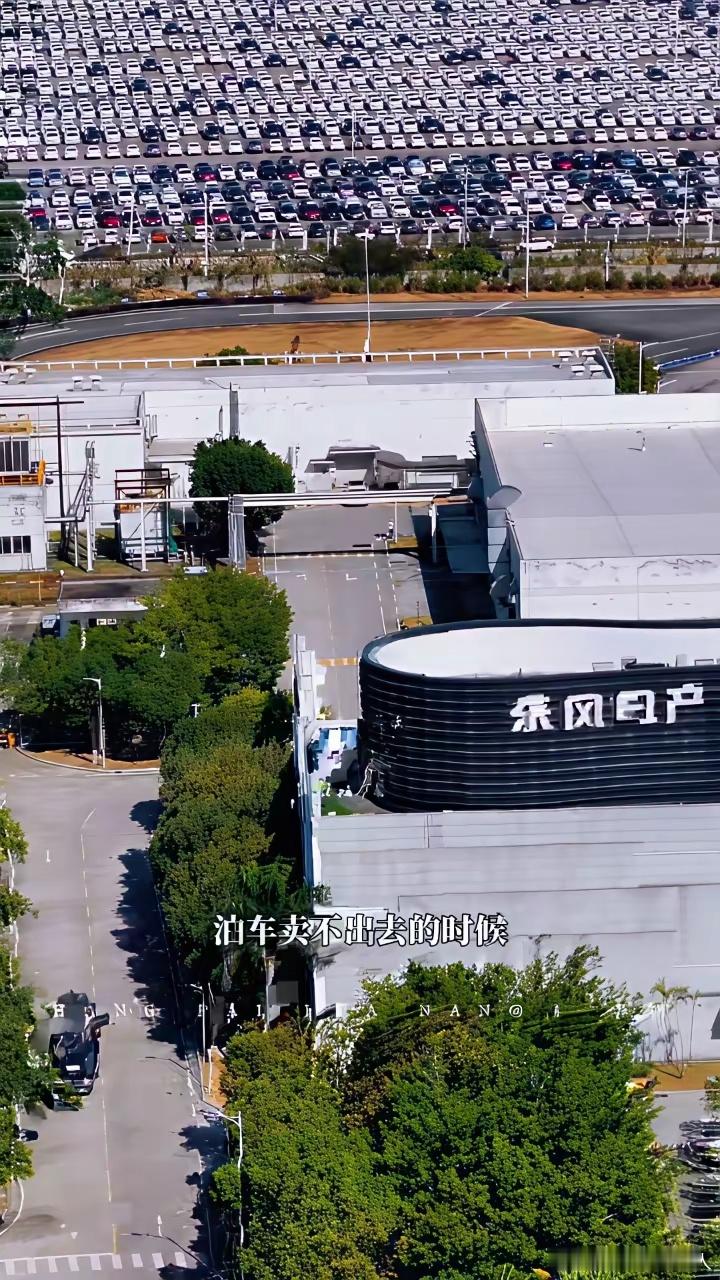 我跟你们说，油车卖不动的那天，就是电车开不起的时候。别老盼着油车停产，那会是新能