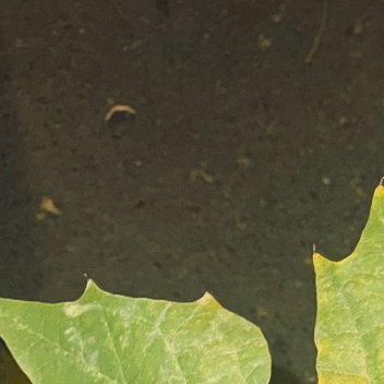 每日一善 曾经的梦想，总在走走停停的日子里渐行渐远渐无言；只留下一段曾经的回忆，