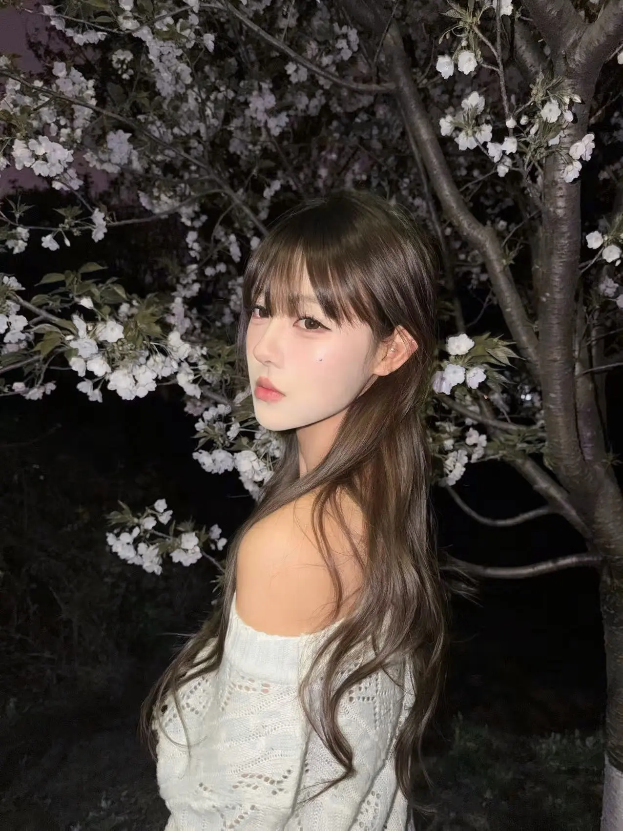 cherry blossom