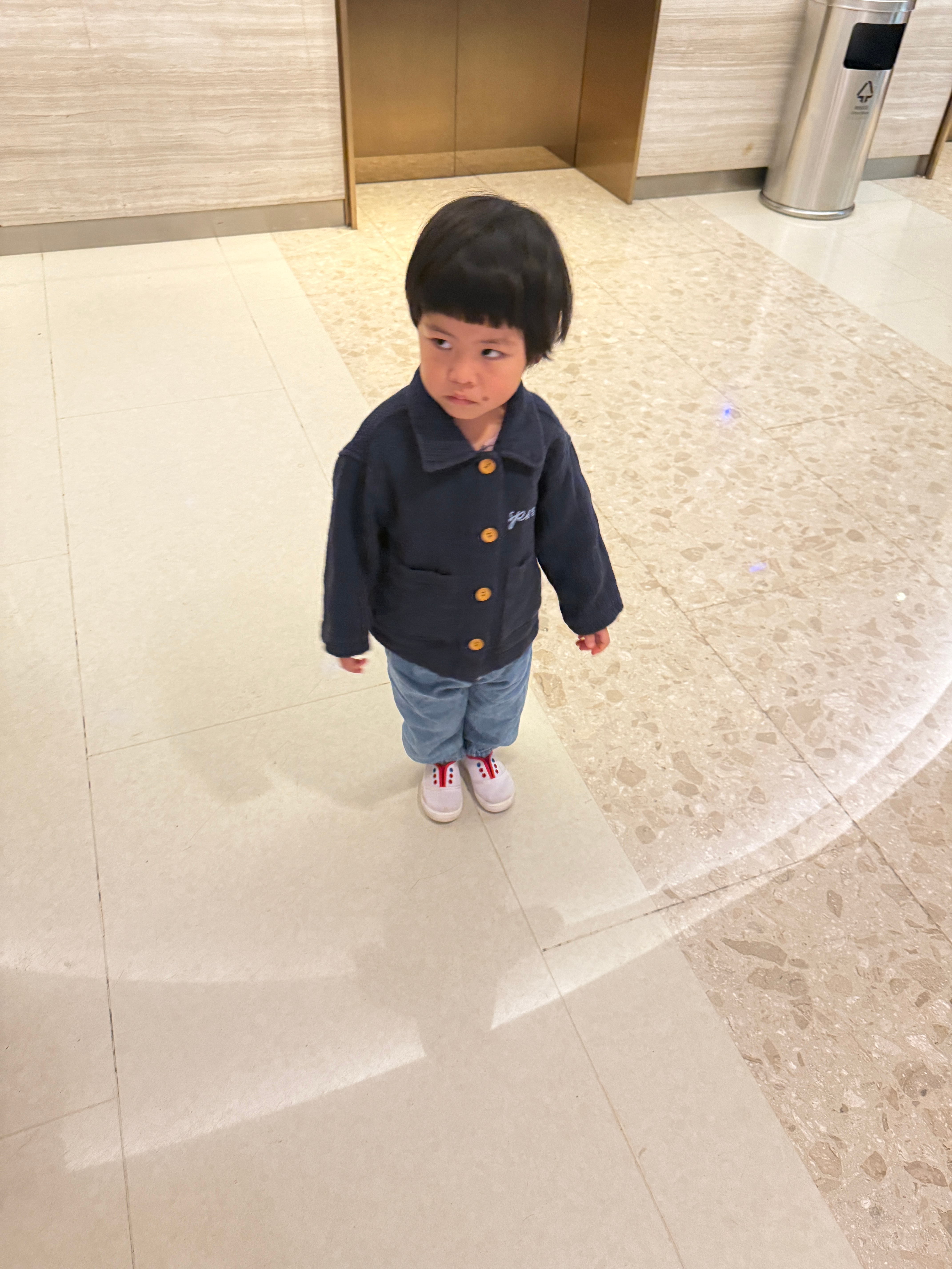 下山进城了心情较为一般，因为“不想下山，想一直在山上，我这只野猫要在山里流浪”（