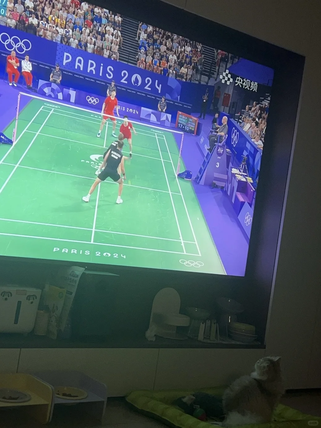 抓个喜欢陪麻麻～看比赛的宝宝