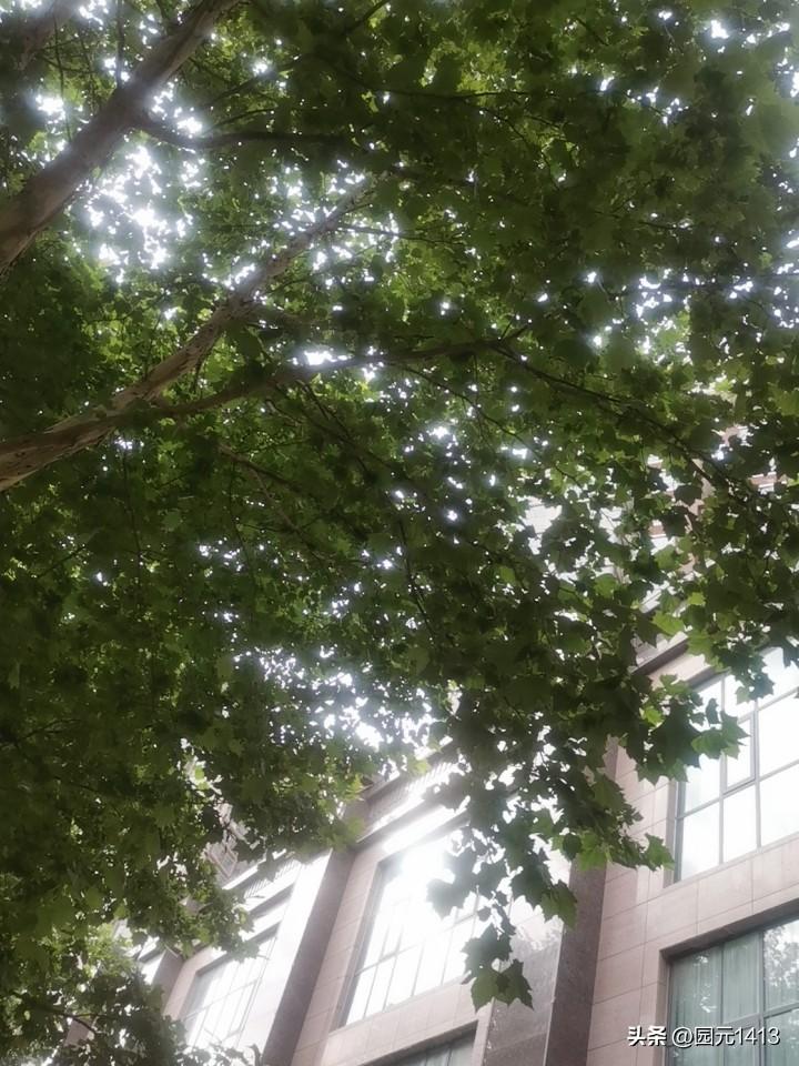 一个人最大的内耗是什么?一个人最大的内耗就是放不下，什么事都放在心里，为家人，为