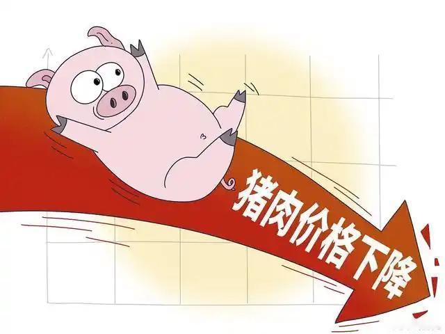 最近出现了了奇怪的现象，猪肉价格一跌再跌，蔬菜却一路上涨。我们这些穷哥们有福了，