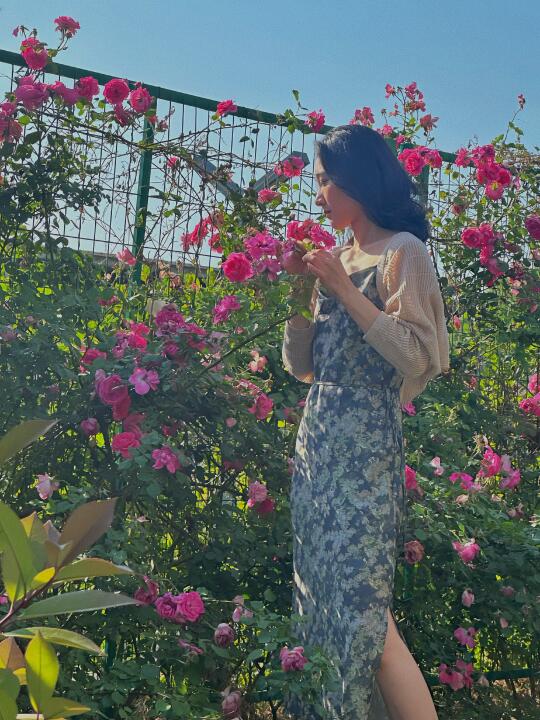 开封——新河大东门的蔷薇花墙！！