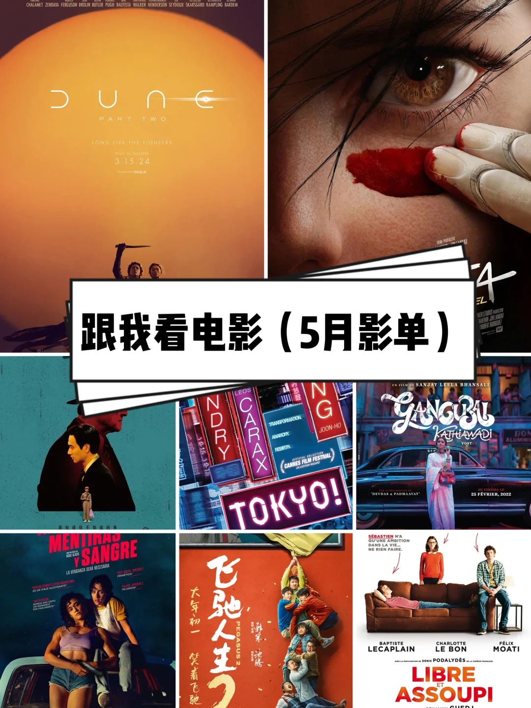 🎬跟我一起看电影：2024年5月影单🌿