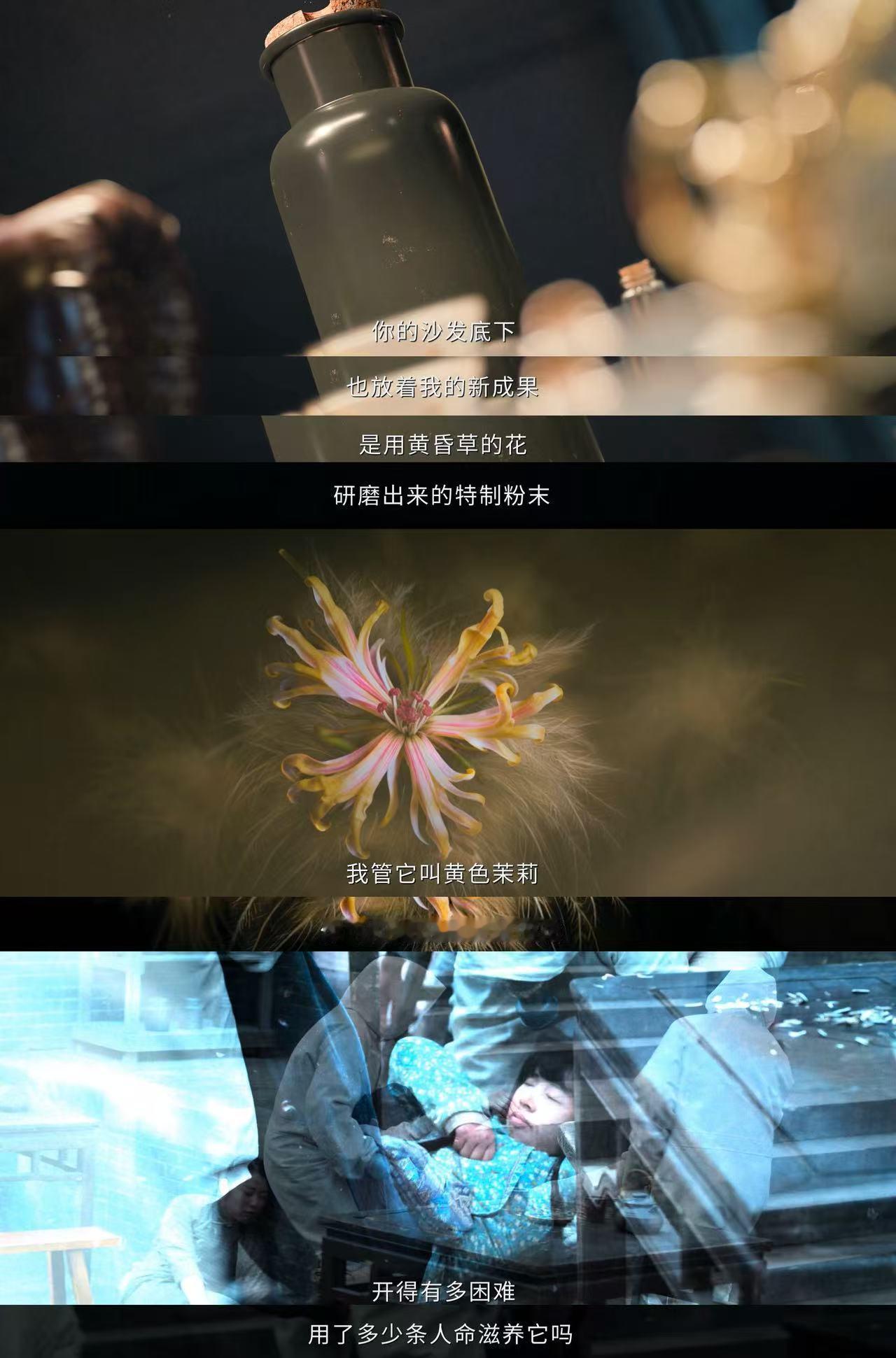 南部档案一集开出两个顶级变态 下墓遇见👻就算了，咋地上还遇👻了？剧集南部档案
