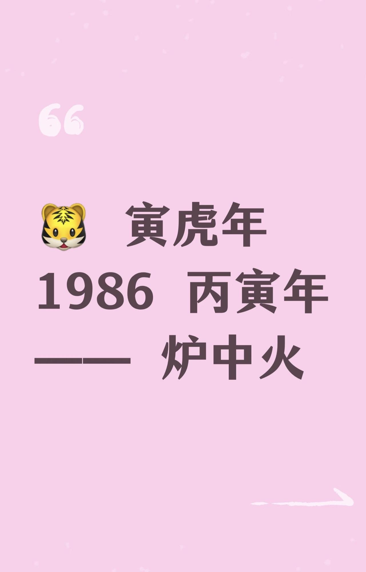 🔥1986年丙寅虎｜炉中火的命格秘密

丙寅之虎，天生带着燃烧的力量，越磨越亮