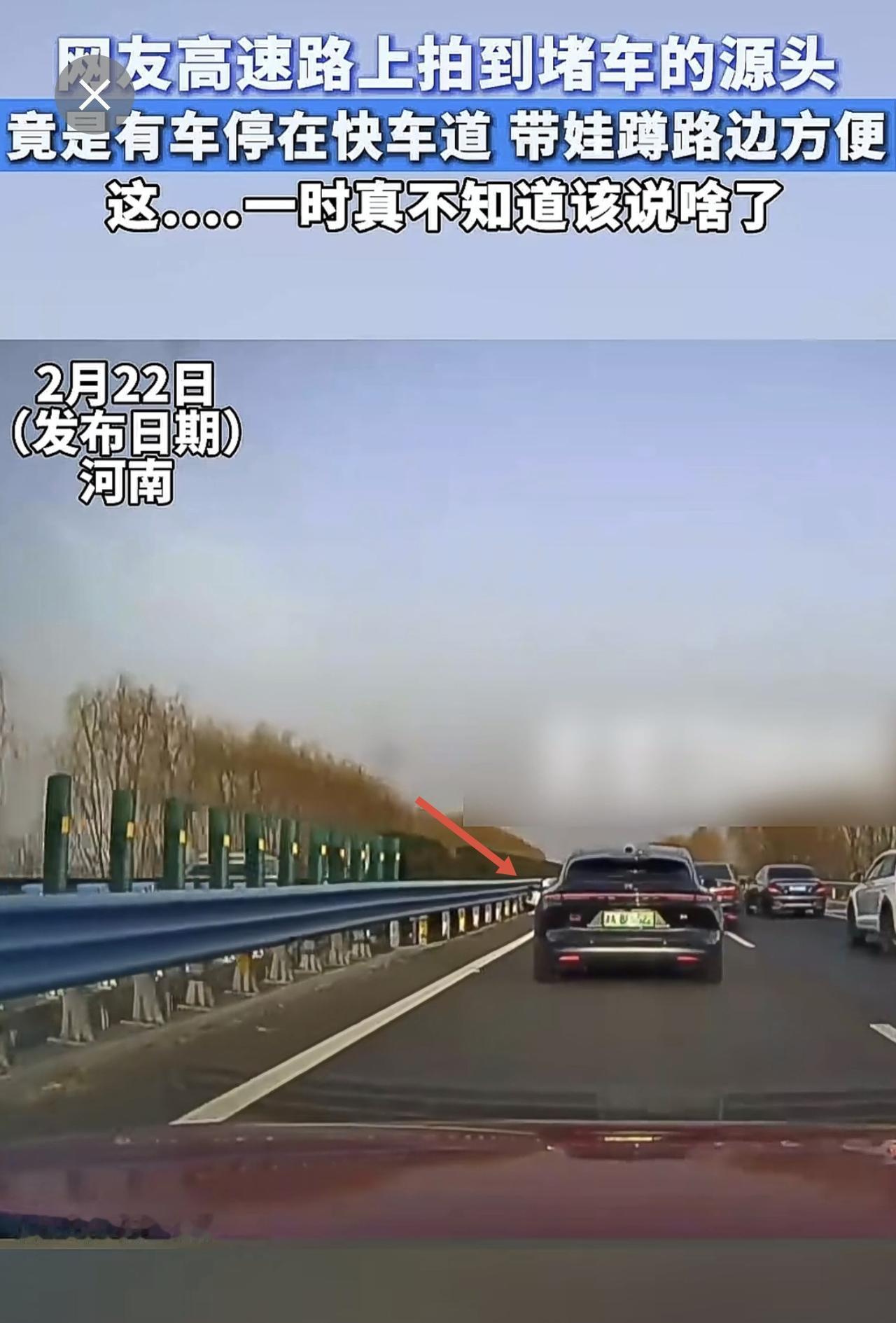高速惊现迷惑行为，车主快车道停车带娃小便，引发拥堵高速公路行车安全 (来源：直播