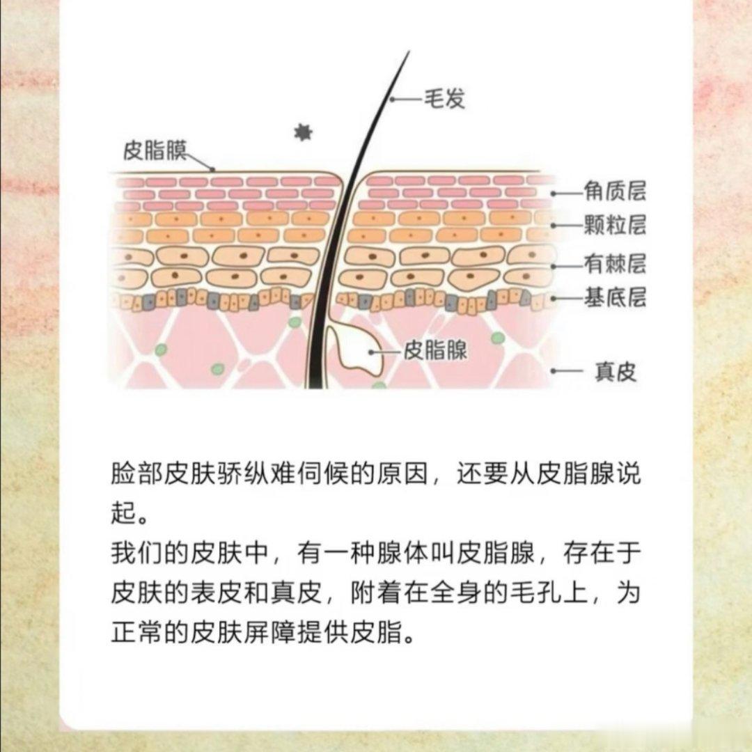 全身为什么面部皮肤看起来最差为什么全身上下，面部的皮肤最差。 ​​​