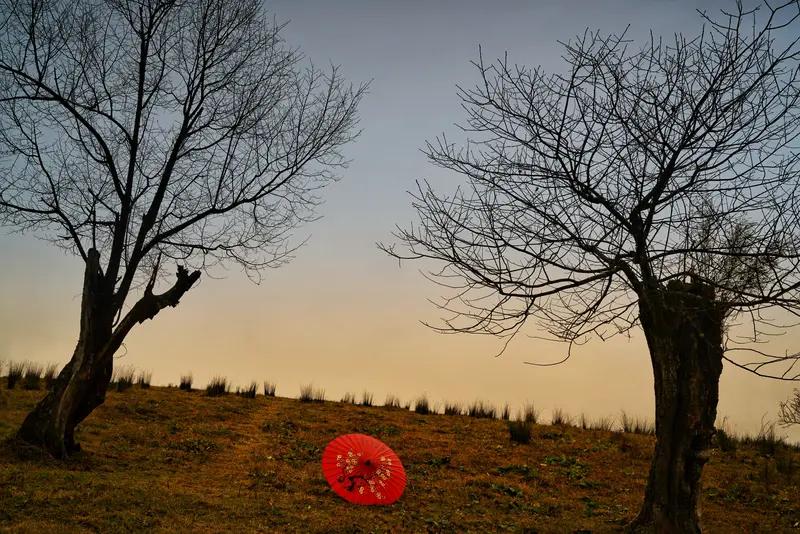 上联：一念相思朝复暮；
下联：满心牵挂昼还宵。