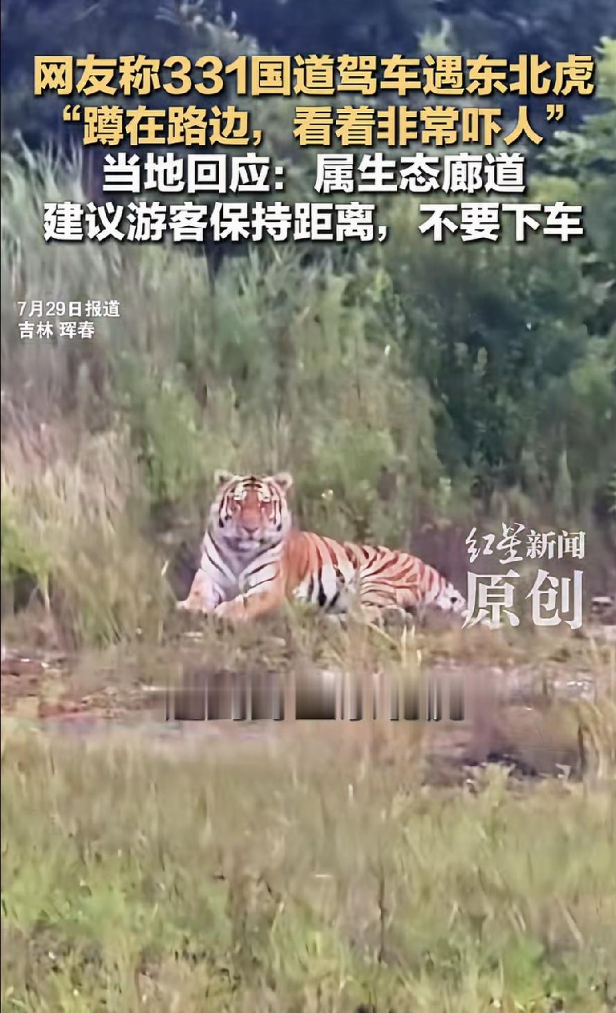 吉林珲春文旅局赢麻了！
近日，有多位网友在社交平台发帖，吉林珲春331国道驾车遇
