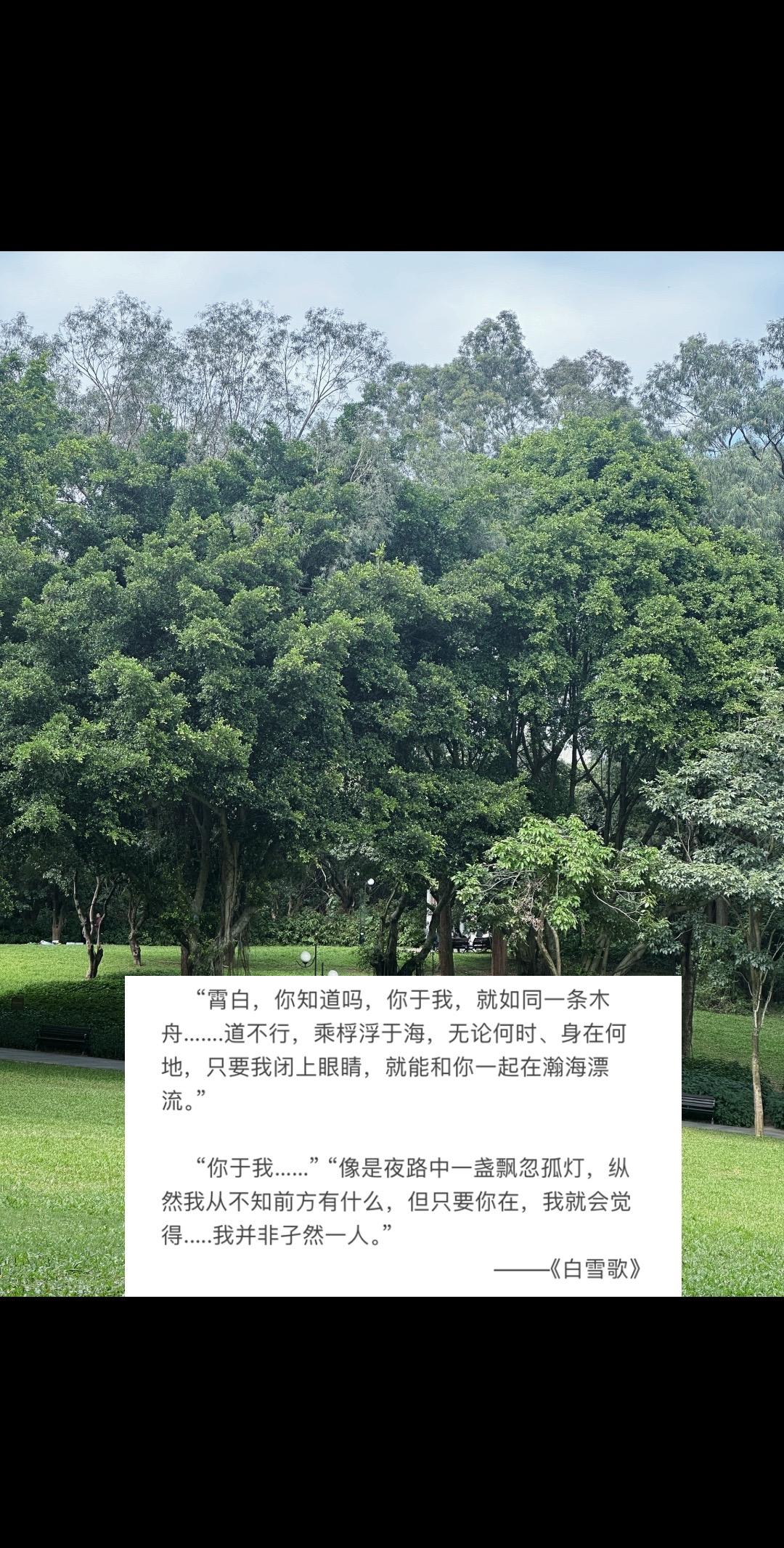 “历史浩如烟海，你看见真实了吗？”
