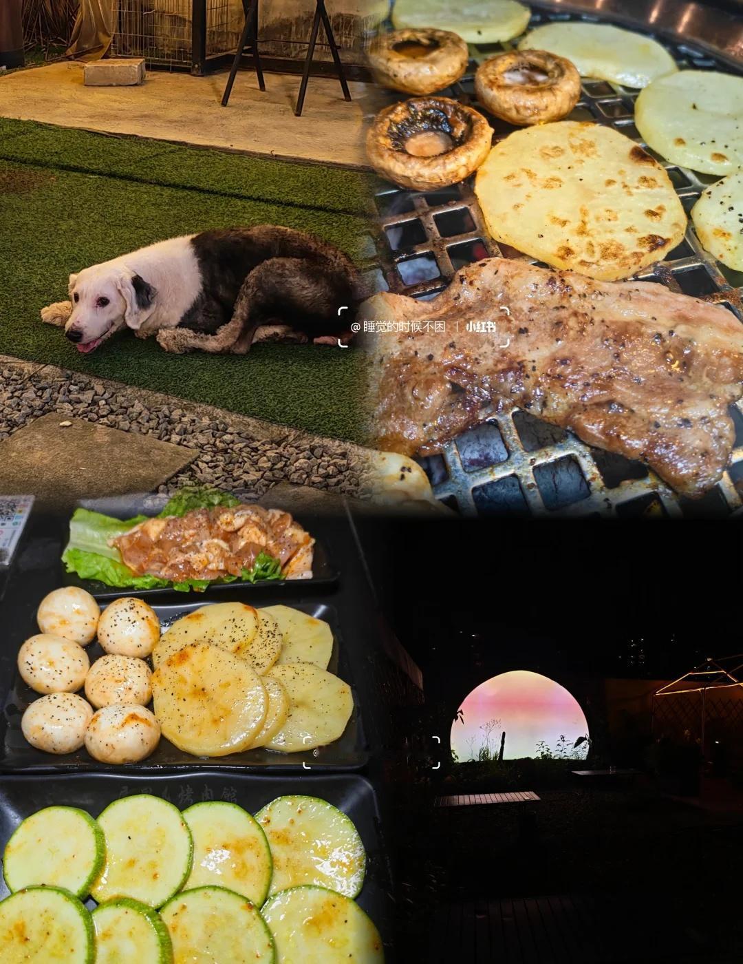 广州天河｜露营烤肉还能撸猫撸狗
夏日·晚风·和TA
氛围感拉满.
两只可爱的小咪