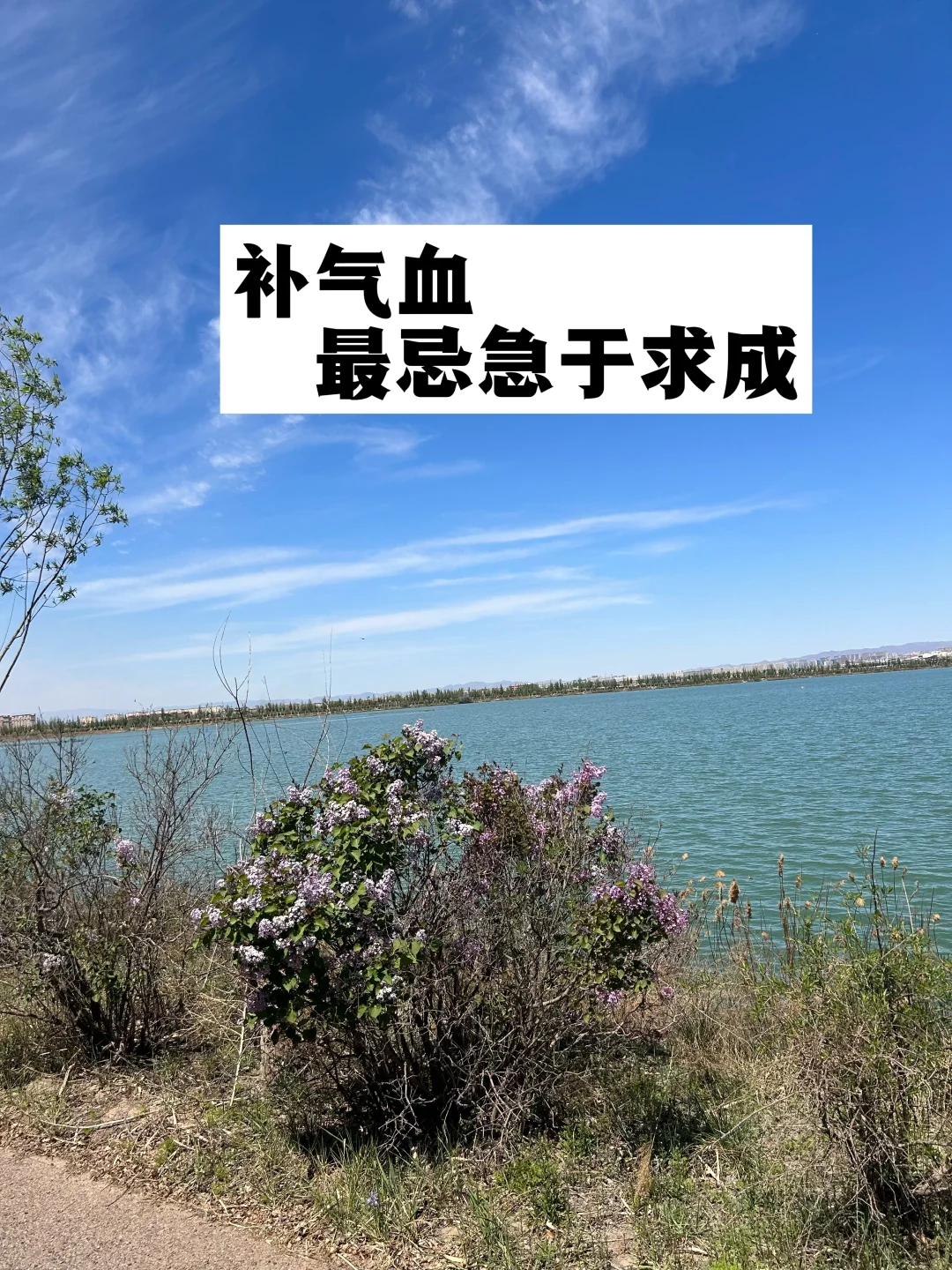 补气血，最忌急于求成.