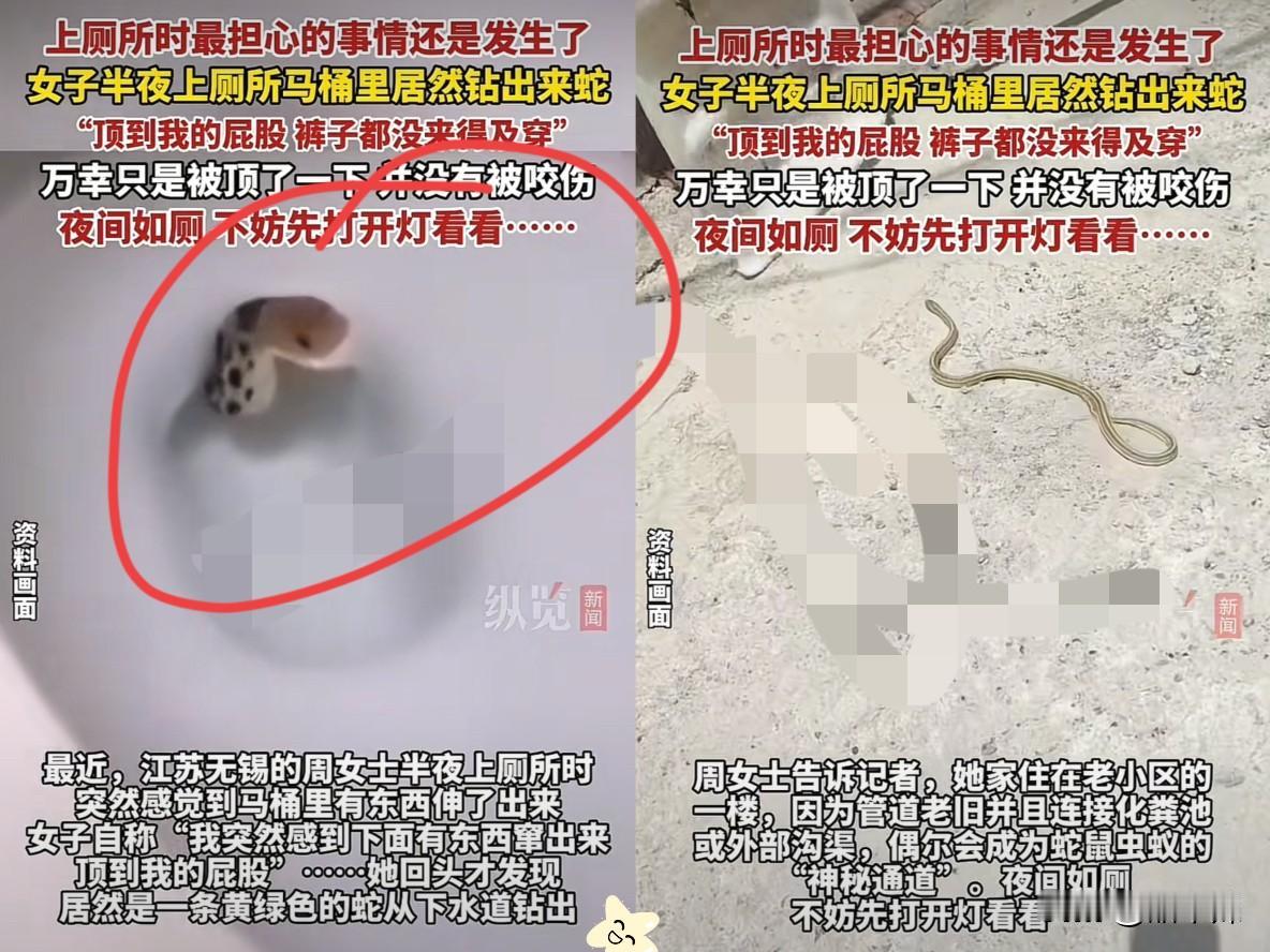 最担心的事还是发生了！江苏，一女子晚上十一点多去上厕所，结果刚坐马桶就被底下钻出
