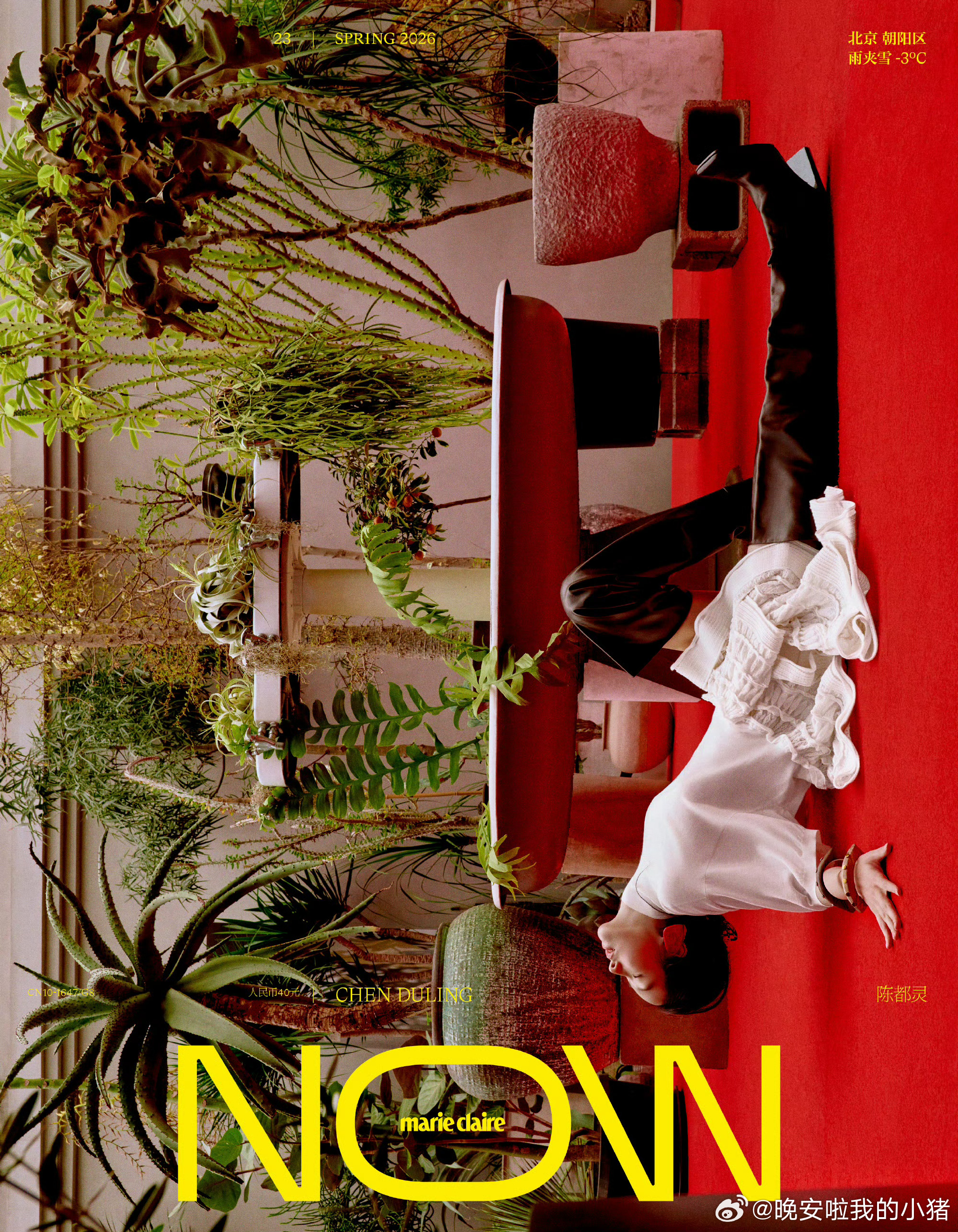 陈都灵嘉人now封面预告，春意盎然