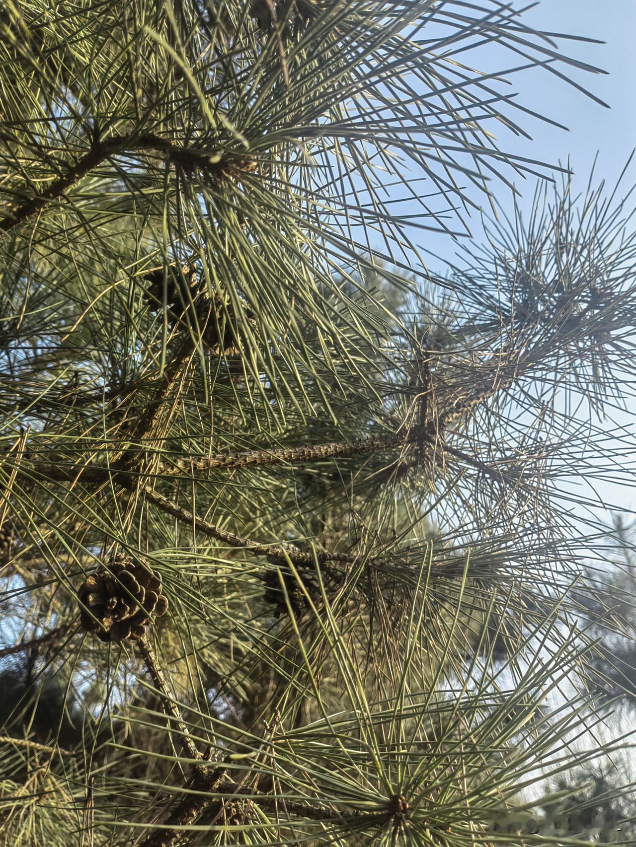 春节假期，在老家吃吃喝喝，天气好就出去玩玩。