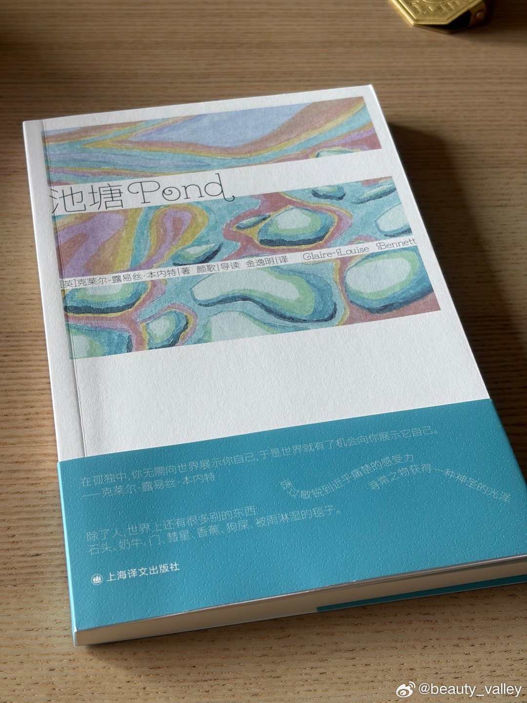 六月新书 克莱尔·露易丝·本内特《池塘》，昨晚爱尔兰领馆🇮🇪【布鲁姆日晚读-