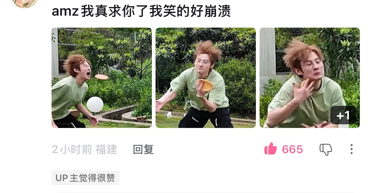 理论组  《up主觉得很赞》 