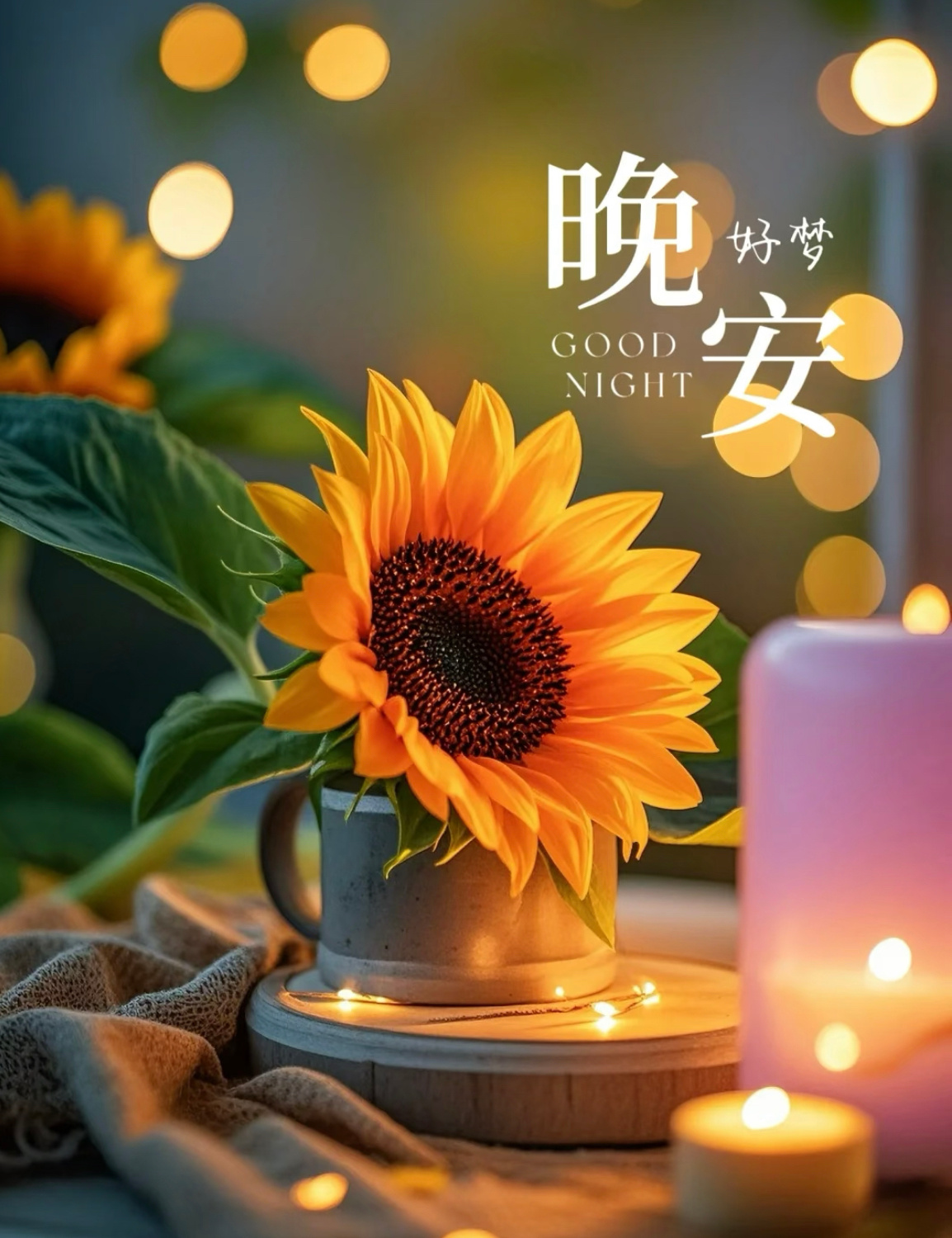 晚安，不仅是今天的结束，更是明天的准备。愿你在梦中充电，明日醒来，精神百倍，迎接