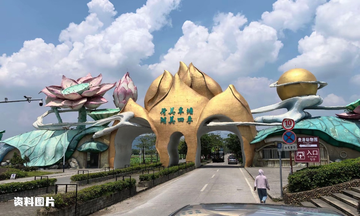 贵港荷花文化节 6月6日，广西贵港覃塘第十三届荷花文化旅游节。一起过来看荷花吧！
