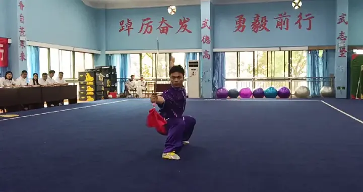桃江县武术队8名队员入选省运会参赛阵容