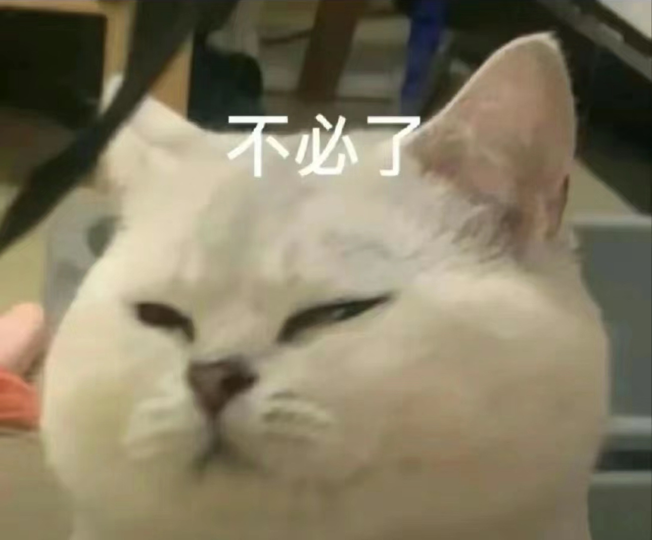 下课啦，最搞笑的是可能为了彰显他这个人没有针对我，他绝对是一个公平公正的人，所以