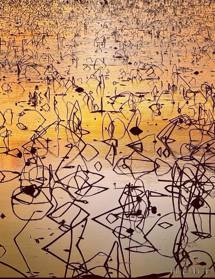 《摸鱼儿·冰消雪融又一春》
 晓光浮，心事盈池，瘦身卧影孤寂。
东风才过立春岸，