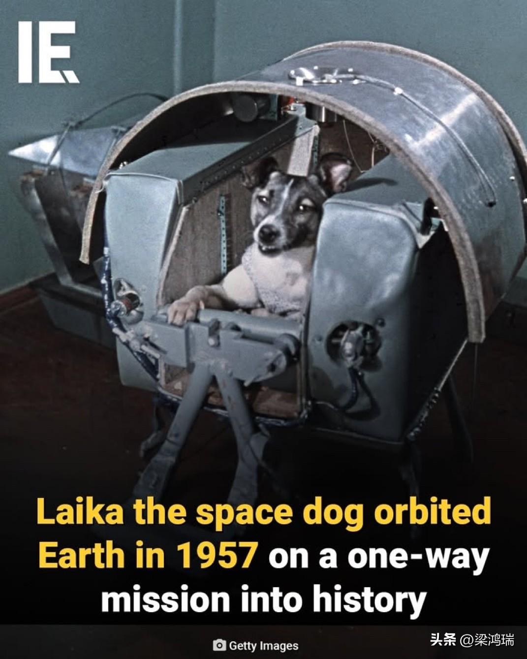 1957年，一只名叫莱卡的莫斯科流浪猫搭乘“斯普特尼克2号”人造卫星，成为第一个